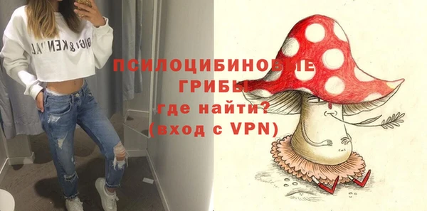 дмт Арсеньев