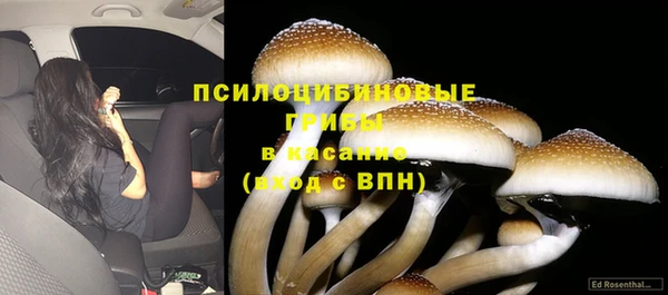 дмт Арсеньев
